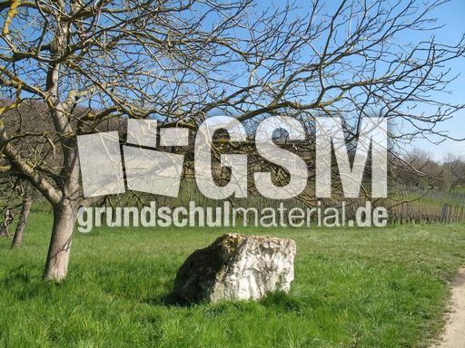 Weil am Rhein Weiler Weinweg 017.jpg